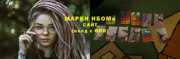 стаф Заводоуковск