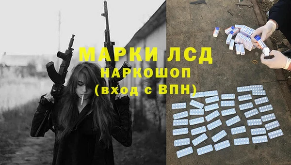 стаф Заводоуковск