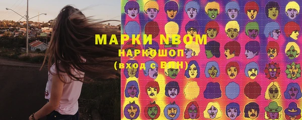 стаф Заводоуковск