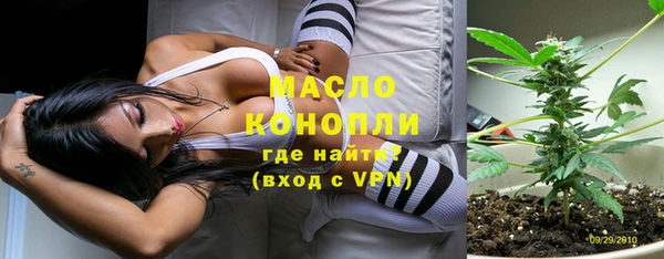 стаф Заводоуковск