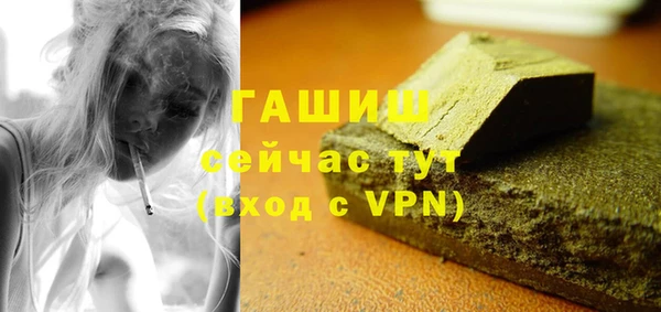 стаф Заводоуковск