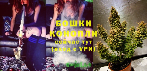стаф Заводоуковск