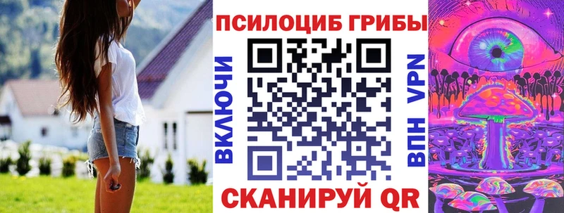 Псилоцибиновые грибы мицелий  Купить  Протвино 